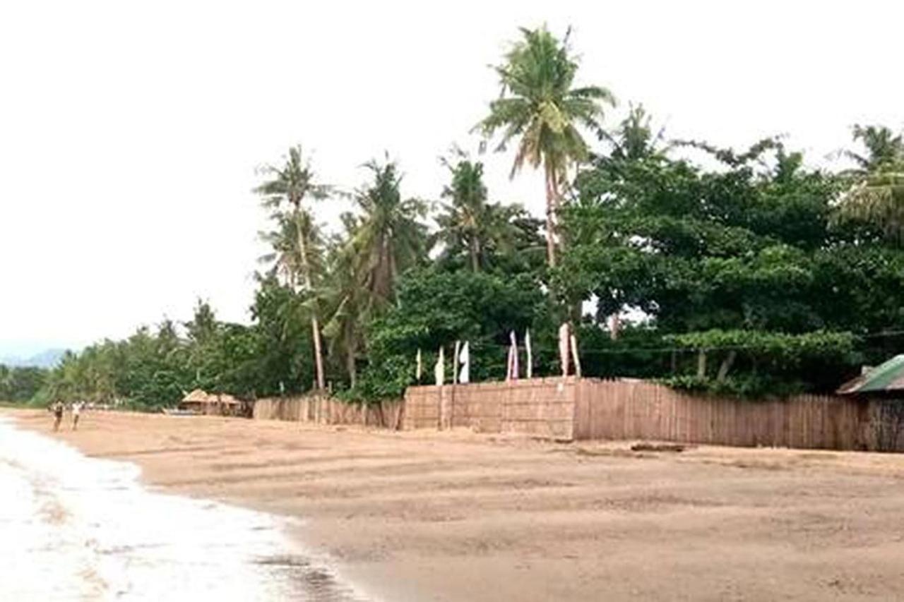 Palompon Leizel'S Bed & Breakfast المظهر الخارجي الصورة